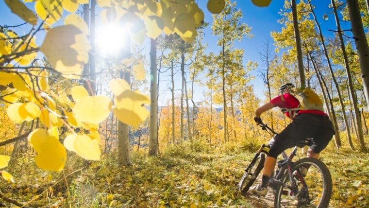 Conquering  Aspen’s Trails: A Comprehensive Guide to Mountain Biking